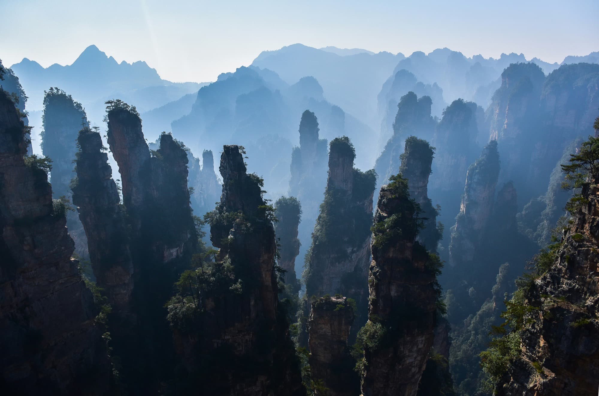 Le guglie di arenaria di Zhangjiajie che emergono dalla nebbia del mattino.