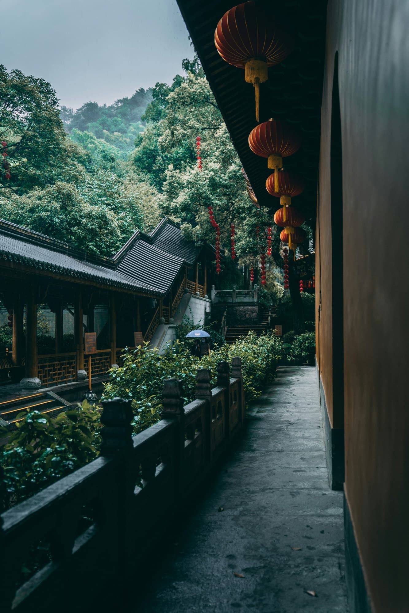 Chengdu — Il finale del Sichuan: il Grande Buddha di Leshan, i panda giganti e il benessere di 成都.