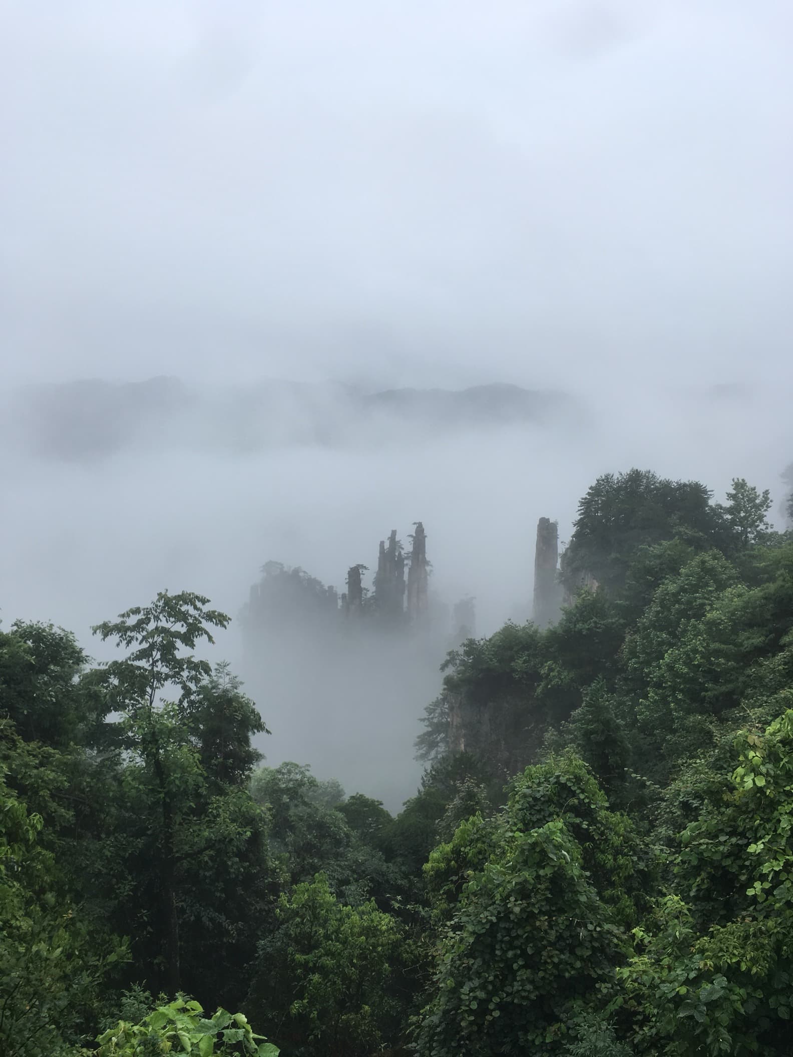 Zhangjiajie — Le colonne di arenaria che hanno ispirato Avatar, sospese nella foschia dello Hunan.